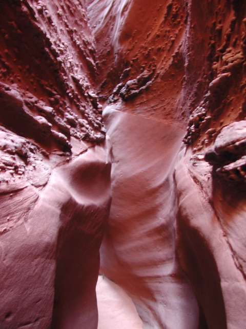 DSCN6058.JPG