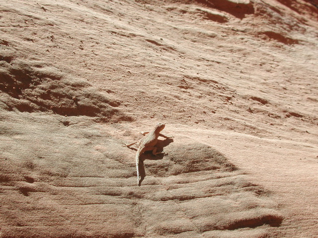 DSCN6062.JPG