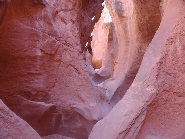 DSCN6003.JPG