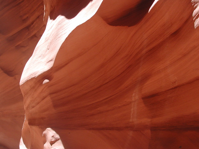 DSCN6071.JPG