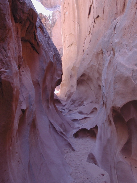 DSCN6079.JPG