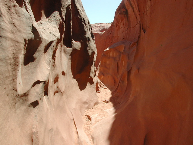 DSCN6080.JPG