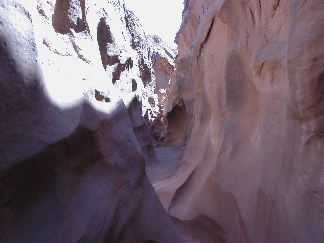 DSCN6081.JPG