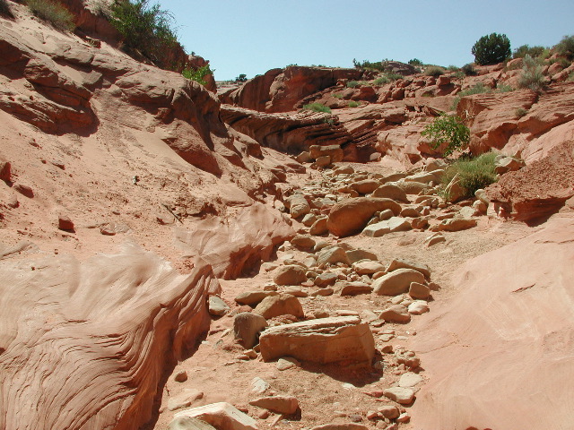 DSCN6082.JPG