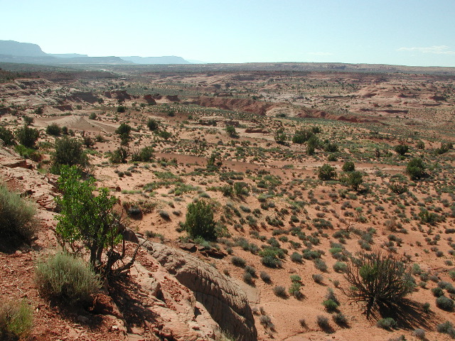 DSCN6087.JPG