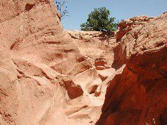 DSCN6015.JPG