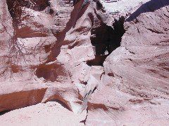 DSCN6016.JPG