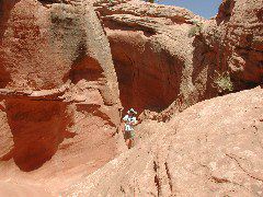 DSCN6020.JPG
