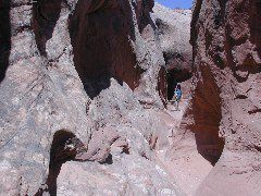 DSCN6021.JPG