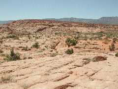 DSCN6025.JPG