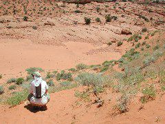 DSCN6026.JPG