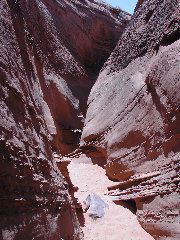 DSCN6029.JPG