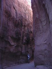 DSCN6069.JPG