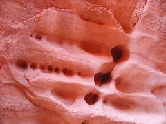 DSCN6070.JPG