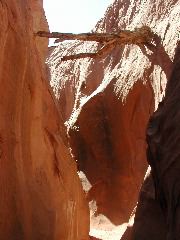 DSCN6078.JPG