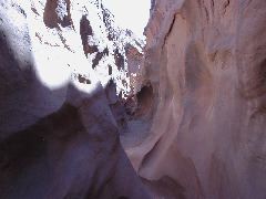 DSCN6081.JPG