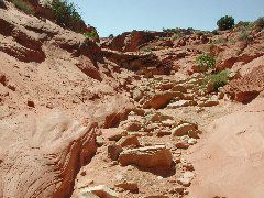 DSCN6082.JPG