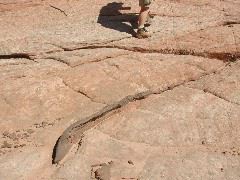 DSCN6084.JPG