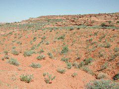 DSCN6085.JPG