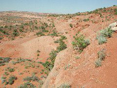 DSCN6088.JPG