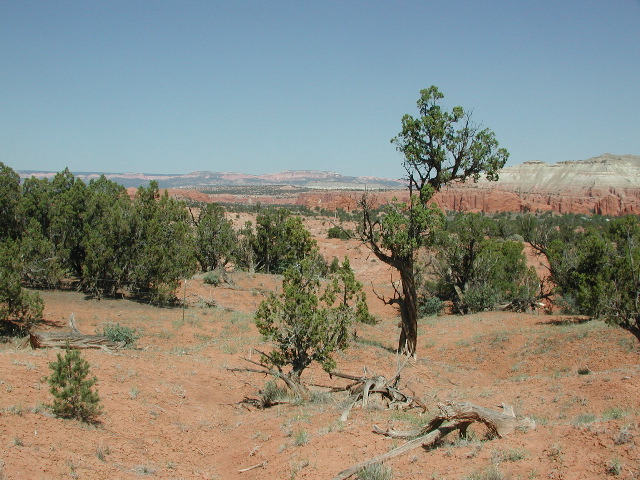 DSCN6139.JPG