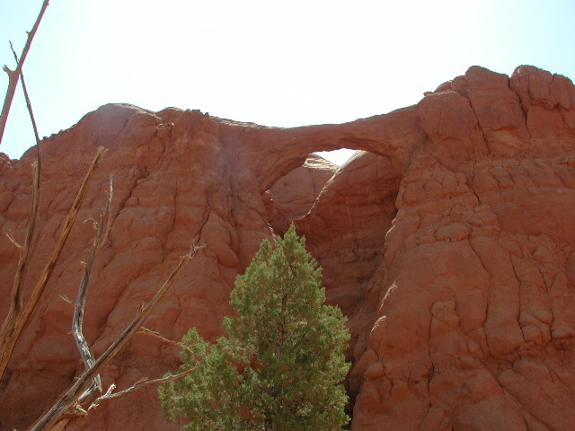 DSCN6142.JPG