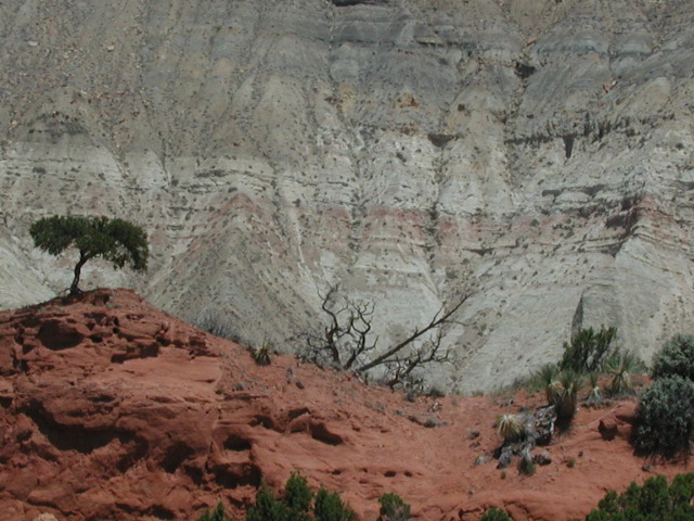 DSCN6160.JPG