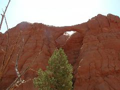 DSCN6142.JPG