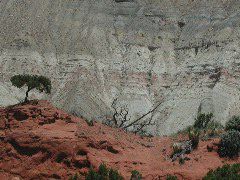 DSCN6160.JPG