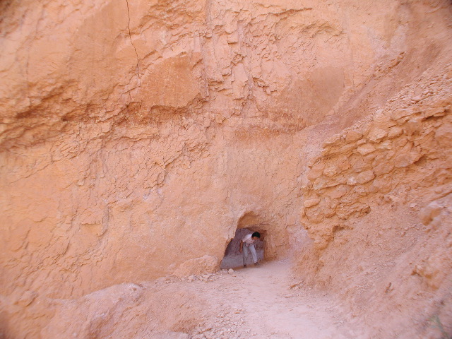 DSCN6203.JPG