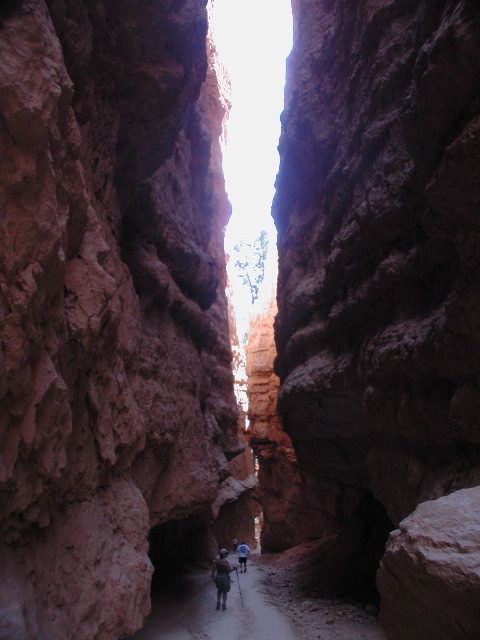 DSCN6206.JPG