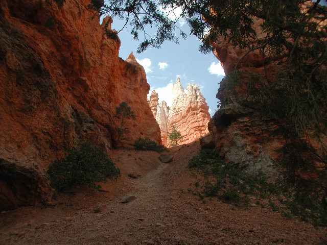 DSCN6216.JPG
