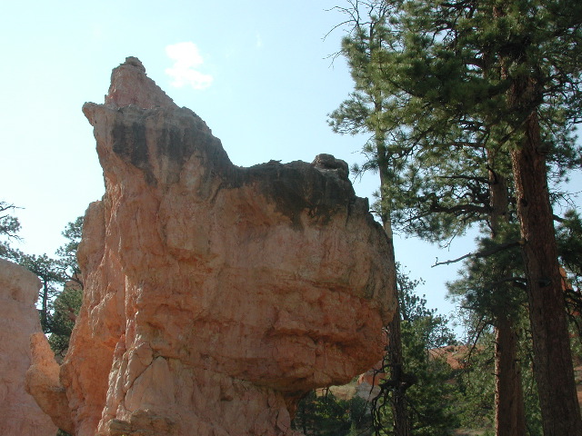 DSCN6225.JPG