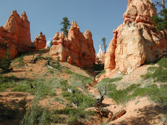 DSCN6230.JPG