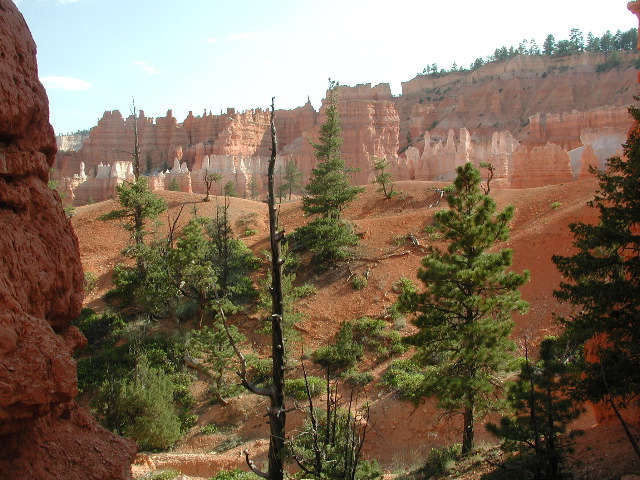 DSCN6245.JPG