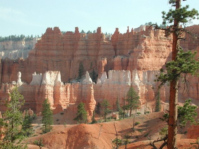 DSCN6256.JPG