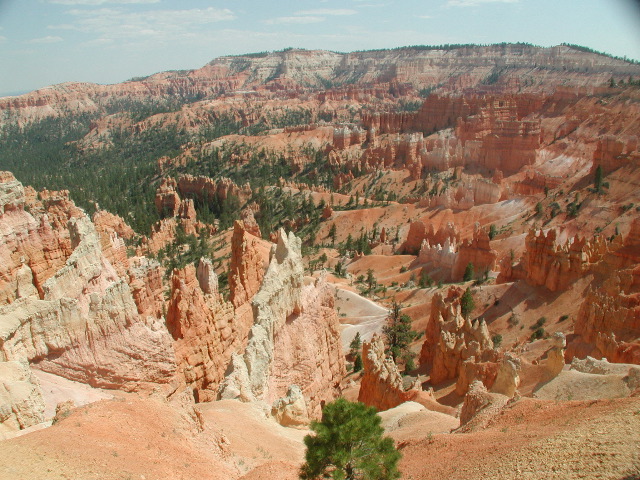 DSCN6188.JPG