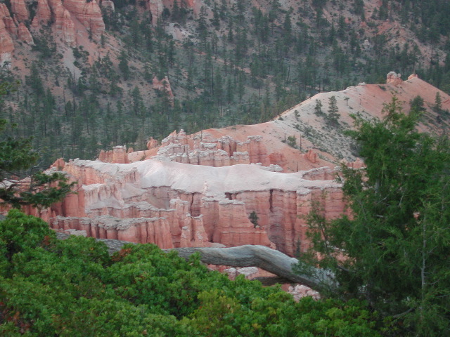 DSCN6307.JPG