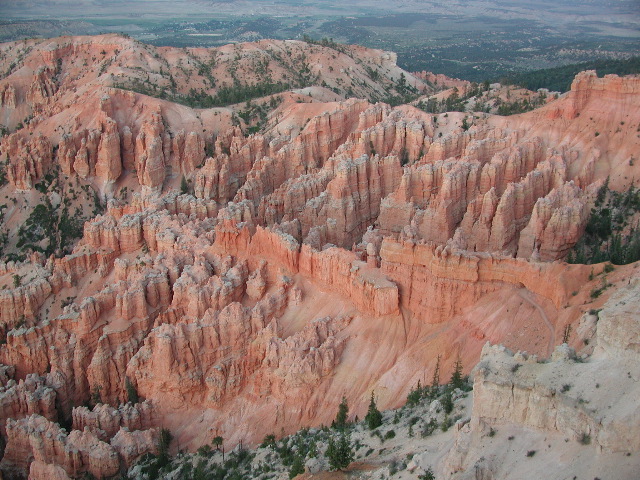 DSCN6311.JPG