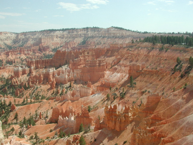 DSCN6190.JPG