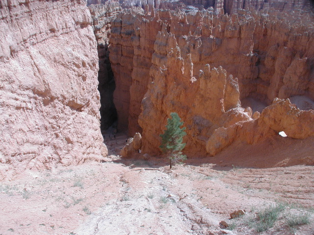 DSCN6200.JPG