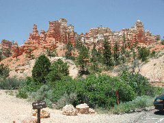 DSCN6176.JPG