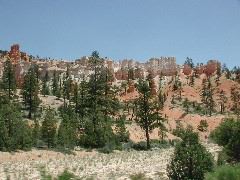 DSCN6178.JPG