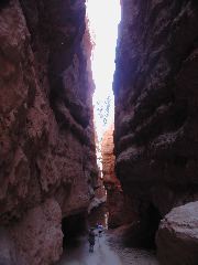 DSCN6206.JPG