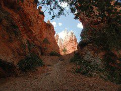 DSCN6216.JPG