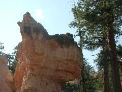 DSCN6225.JPG