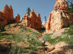 DSCN6230.JPG