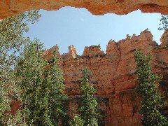 DSCN6233.JPG