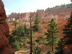 DSCN6245.JPG