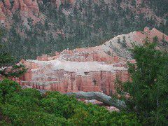 DSCN6307.JPG